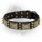 Newfoundland Spiked Leather Collar with Nickel Plates