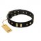 "De Luxe" FDT Artisan Black Leather Newfoundland Collar with Old Bronze-like Plates and Studs