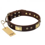 "Rich Fashion" FDT Artisan Decorated Leather Newfoundland Collar with Plates and Studs