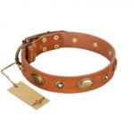 "Visual Magic" FDT Artisan Tan Leather Newfoundland Collar for Daily Activities