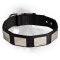 Newfoundland Nylon Collar Massive Nickel Plated Plates