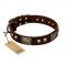 "Magic Amulet" Brown Leather Newfoundland Collar with Skulls and Plates