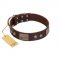 "Stone Stars" Stylish Handmade FDT Artisan Brown Leather Newfoundland Collar