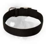 Newfoundland 2 Ply Nylon Collar