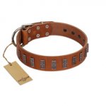 "Silver Century" Fashionable FDT Artisan Tan Leather Newfoundland Collar with Silver-Like Plates