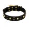 FDT Artisan 'Heavy Metal' Leather Newfoundland Collar with Skulls and Studs 1 1/2 inch (40 mm)