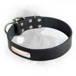 Newfoundland Leather Collar Identification Tag