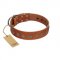 "Lucky Star" Handmade FDT Artisan Designer Tan Leather Newfoundland Collar with Round Plates
