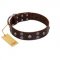 "Skull Valley" Handcrafted FDT Artisan Brown Leather Newfoundland Collar with Skulls
