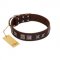 "Needle Stories" Modern FDT Artisan Brown Leather Newfoundland Collar with Square Engraved Plates and Four-Point Stars
