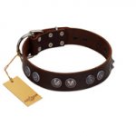"King Arthur" FDT Artisan Brown Leather Newfoundland Collar with Spiky Plates