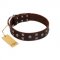 "Brown Shadow" Designer Handmade FDT Artisan Brown Leather Newfoundland Collar