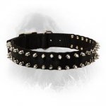 Newfoundland Nylon Collar Spiked