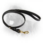 Newfoundland Leather Leash Braided