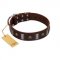 "War Chief" FDT Artisan Genuine Brown Leather Newfoundland Collar with Skulls and Plates