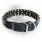 Newfoundland Leather Collar 3 Rows with Nickel Plated Spikes