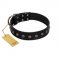 "Flower Rhapsody" FDT Artisan Premium Quaulity Black Leather Newfoundland Collar
