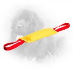 French Linen Newfoundland Bite Tug with 2 Handles