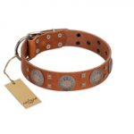 "Sun Rise Noon" FDT Artisan Tan Leather Newfoundland Collar with Unique Design