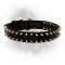 Newfoundland Nylon Collar Spiked