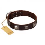 "Nut-Brown Finery" Embellished FDT Artisan Brown Leather Newfoundland Collar with Chrome Plated Crossbones and Plates