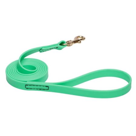 Green Waterproof Newfoundland Leash Made of Biothane
