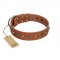"Silver Age" Fashionable FDT Artisan Tan Leather Newfoundland Collar with Silver-Like Studs