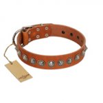"Silver Spike" Handmade FDT Artisan Tan Leather Newfoundland Collar with Old Silver-Like Spikes
