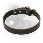 Newfoundland Leather Dog Collar For Pleasant Wearing
