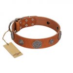 "Foxy Nature" FDT Artisan Tan Leather Newfoundland Collar with Chrome Plated Brooches