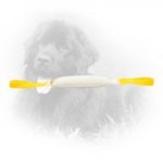 Fire Hose Newfoundland Bite Tug with Comfortable Nylon Handles