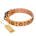 'Sophisticated Glamor' FDT Artisan Tan Leather Dog Collar with Fancy Old-Bronze Plated Decorations