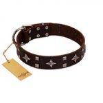 "Trendy Candy" FDT Artisan Brown Leather Newfoundland Collar Adorned with Stars and Tiny Squares