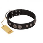 "Tricky Ricky" FDT Artisan Black Leather Newfoundland Collar Adorned with Silver-Like Conchos