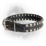 Exclusive "Caterpillar" Leather Newfoundland Collar with Nickel Studs