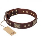 "Loving Owner" FDT Artisan Decorated Leather Newfoundland Collar with Plates and Studs