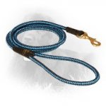 Multifunctional Nylon Newfoundland Leash