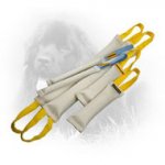 Fire Hose Newfoundland Bite Training Set of 6 Dog Items