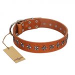 "Star Trek" FDT Artisan Tan Leather Newfoundland Collar Decorated with Stars