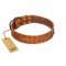 "Walk and Shine" FDT Artisan Tan Leather Newfoundland Collar with Antiqued Studs