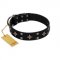 "Snappy Dresser" FDT Artisan Black Leather Newfoundland Collar Adorned with Stars and Tiny Squares