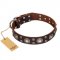 'Age of Beauty' FDT Artisan Incredible Studded Brown Leather Newfoundland Collar