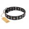 "Refined Essence" FDT Artisan Black Leather Newfoundland Collar with Silvery Studs