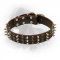 Leather Newfoundland Collar with Spikes and Studs