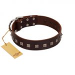 "Kingly Grace" FDT Artisan Brown Leather Newfoundland Collar with Silver-like Dotted Studs