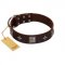 "Cold Star" Designer FDT Artisan Brown Leather Newfoundland Collar with Silver-Like Adornments