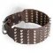 3 Inch Leather Newfoundland Collar with Spikes and Studs
