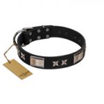 "Pitch Dark" FDT Artisan Black Leather Newfoundland Collar with Stars and Plates