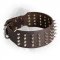 Extra Wide Leather Newfoundland Collar with Nickel Plated Spikes