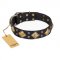 "Fancy-Schmancy" FDT Artisan Studded Leather Newfoundland Collar